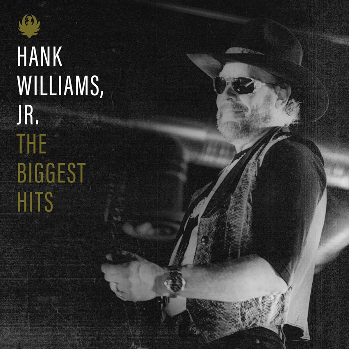 Biggest Hits of Hank Williams Jr. CD