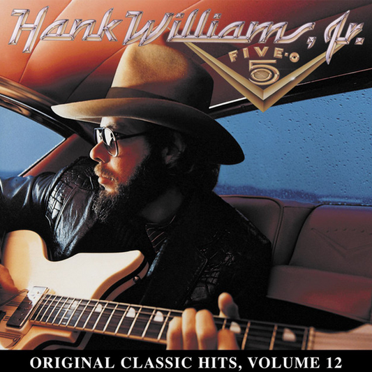 Album cover featuring a bearded man in a cowboy hat and sunglasses playing a guitar inside a vehicle.